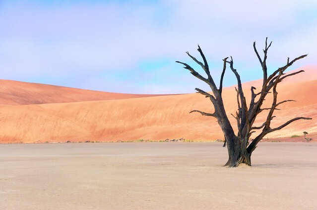 Landscape of Dead Vlei, Sossusvlei, Namib desert, Namibia